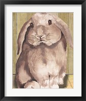 Framed 'Bunny II' border=