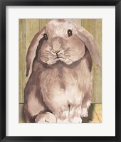 Framed 'Bunny II' border=