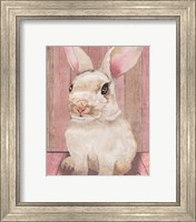 Framed 'Bunny III' border=