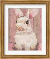 Framed 'Bunny III' border=