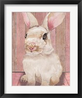 Framed 'Bunny III' border=