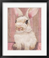 Framed 'Bunny III' border=