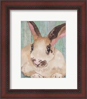 Framed 'Bunny IV' border=