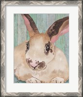 Framed 'Bunny IV' border=