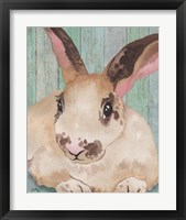 Framed 'Bunny IV' border=