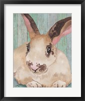 Framed 'Bunny IV' border=