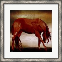 Framed 'Red Horse I' border=