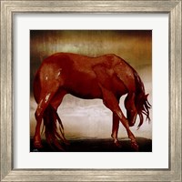 Framed 'Red Horse I' border=