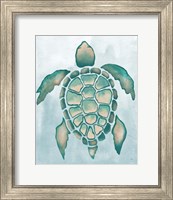 Framed 'Aquatic Turtle I' border=