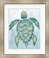 Framed 'Aquatic Turtle I' border=