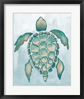 Framed 'Aquatic Turtle I' border=