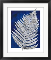 Framed 'Blue Fern in White Border II' border=