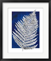 Framed Blue Fern in White Border II