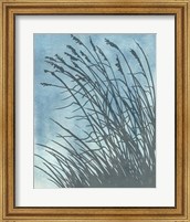 Framed 'Tall Grasses on Blue I' border=