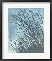 Tall Grasses on Blue I Framed Print