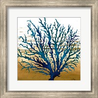 Framed 'Coastal Blue II' border=