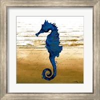 Framed 'Coastal Blue III' border=