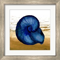 Framed 'Coastal Blue IV' border=