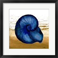 Coastal Blue IV Framed Print