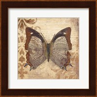 Framed 'Butterfly' border=