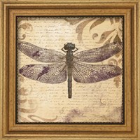 Framed 'Dragonfly' border=