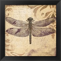 Framed 'Dragonfly' border=