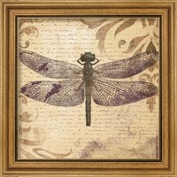 Framed 'Dragonfly' border=