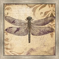 Framed 'Dragonfly' border=