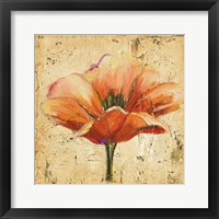 Poppy III Framed Print