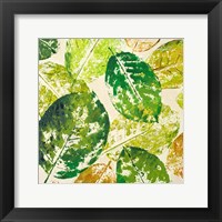 Green Overlay II Framed Print