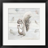 Framed Neutral Squirrel