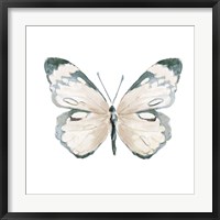 Steady Wings III Framed Print