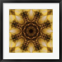 Framed Colorful Kaleidoscope 4