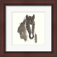 Framed 'Horse Portrait III' border=