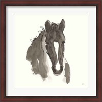 Framed 'Horse Portrait III' border=