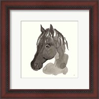 Framed 'Horse Portrait II' border=