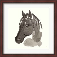 Framed 'Horse Portrait II' border=