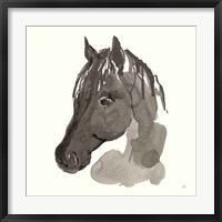 Horse Portrait II Framed Print