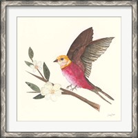 Framed 'Birds and Blossoms IV' border=