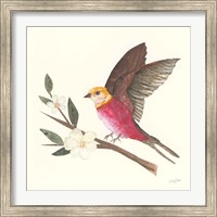 Framed 'Birds and Blossoms IV' border=