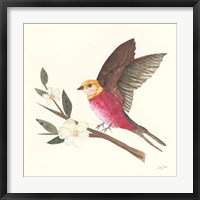 Framed 'Birds and Blossoms IV' border=