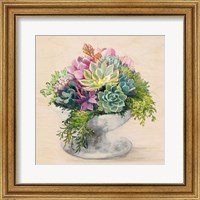 Framed 'Festive Succulents II' border=