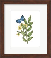 Framed 'Greenery Butterflies IV' border=