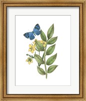 Framed 'Greenery Butterflies IV' border=