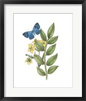 Framed 'Greenery Butterflies IV' border=