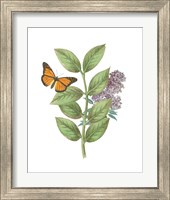 Framed 'Greenery Butterflies III' border=