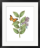 Greenery Butterflies III Framed Print