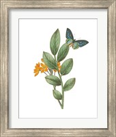 Framed 'Greenery Butterflies I' border=