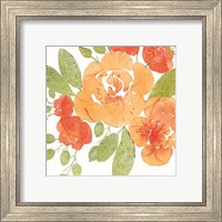 Framed 'Peachy Floral II' border=