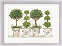 Framed Topiary Still Life